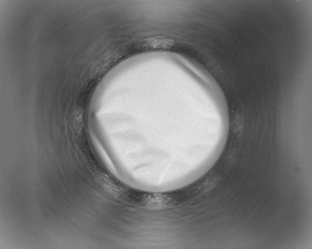 X0000076070321200610202021