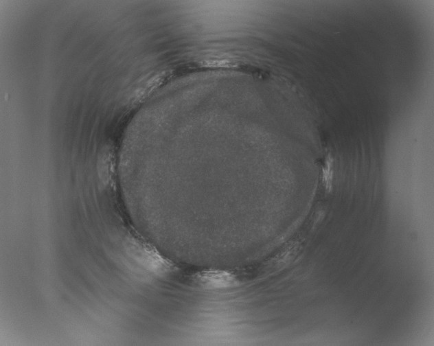 X0000076070322200610202021