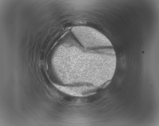 X0000076070323200610202021