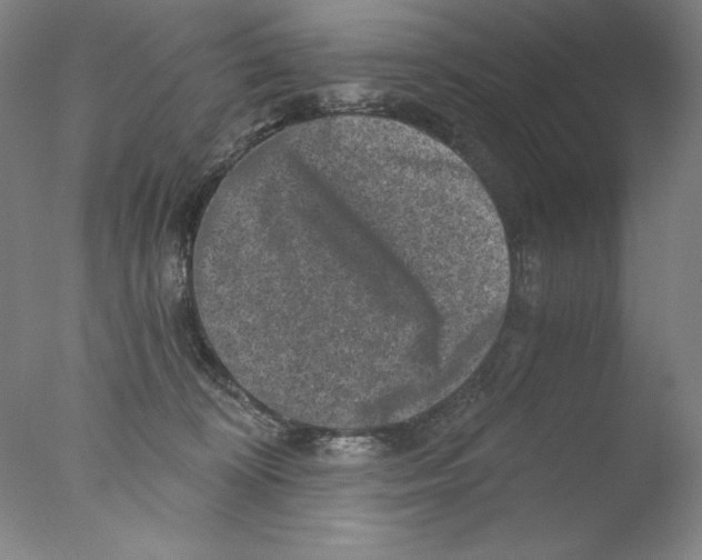 X0000076070324200610202021