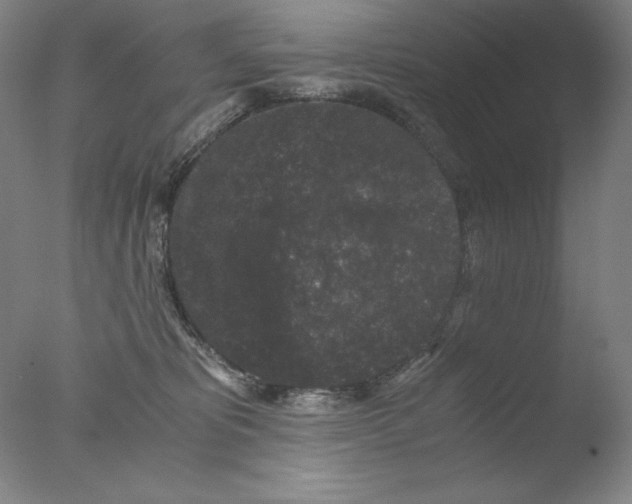 X0000076070325200610202021