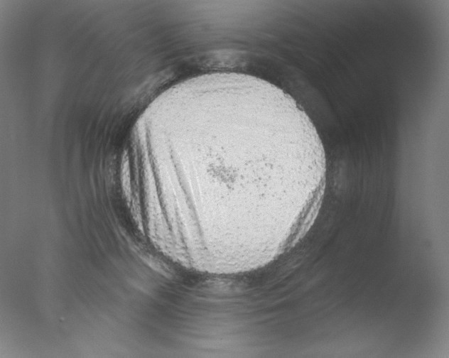 X0000076070326200610202021