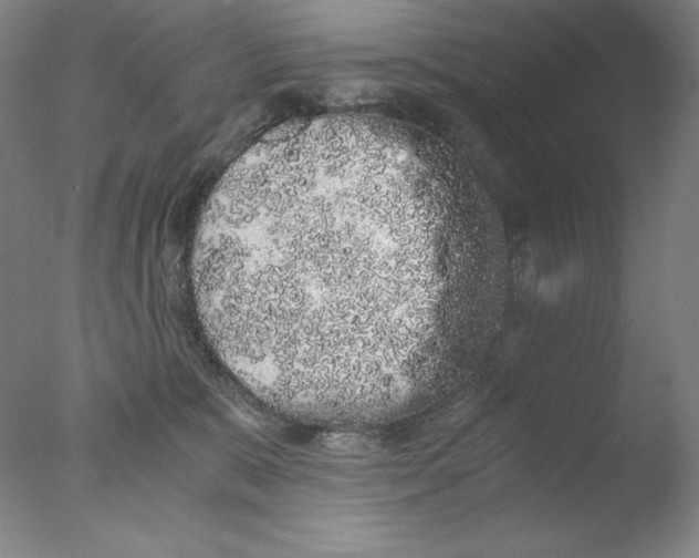 X0000076070327200610202021