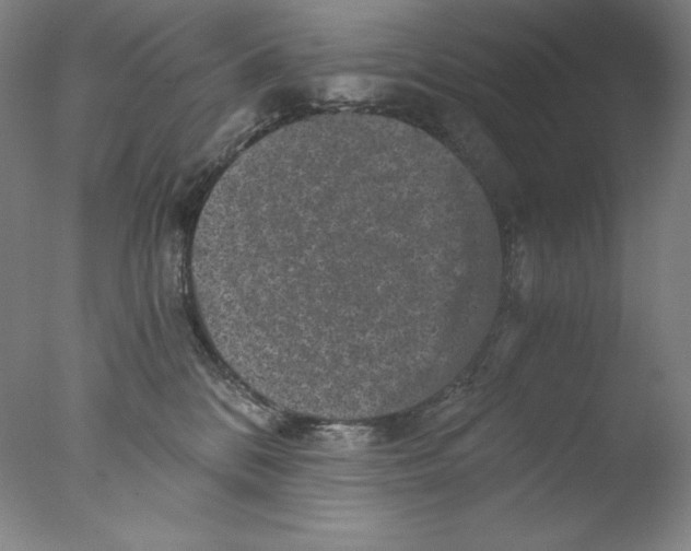 X0000076070328200610202021