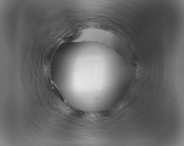 X0000076070329200610202021