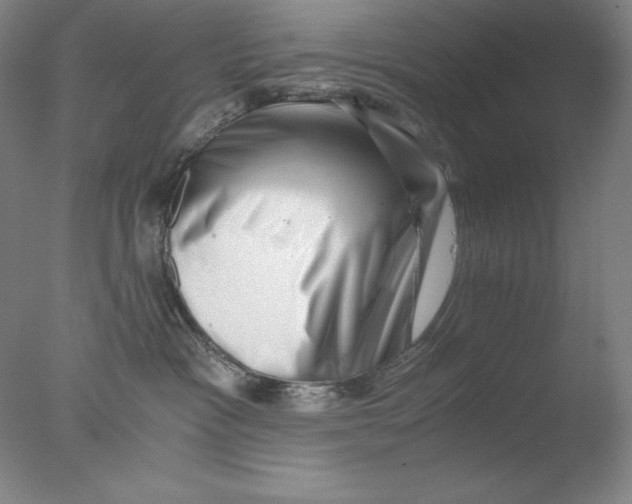 X0000076070333200610202021