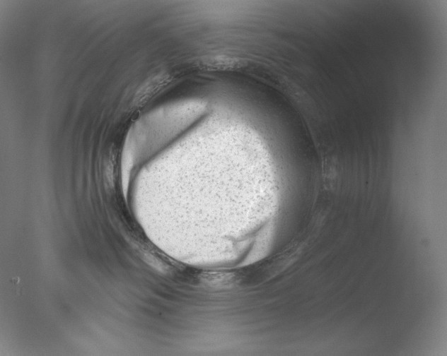 X0000076070334200610202021