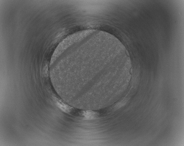 X0000076070336200610202020