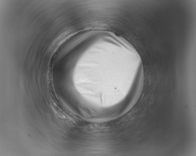 X0000076070338200610202020