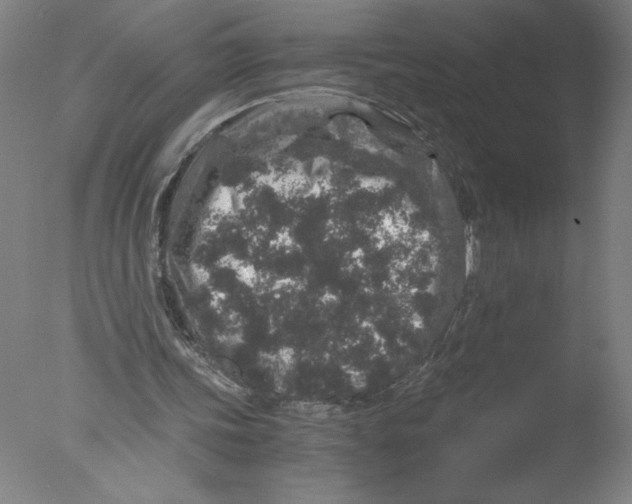 X0000076070339200610202020