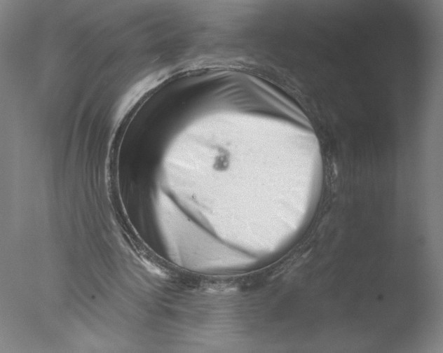 X0000076070340200610202020