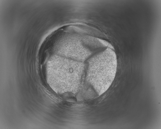 X0000076070342200610202020