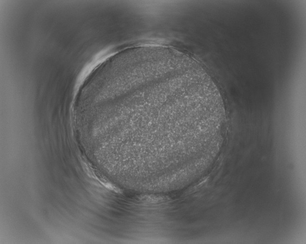 X0000076070343200610202020