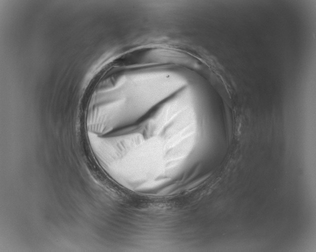 X0000076070344200610202020