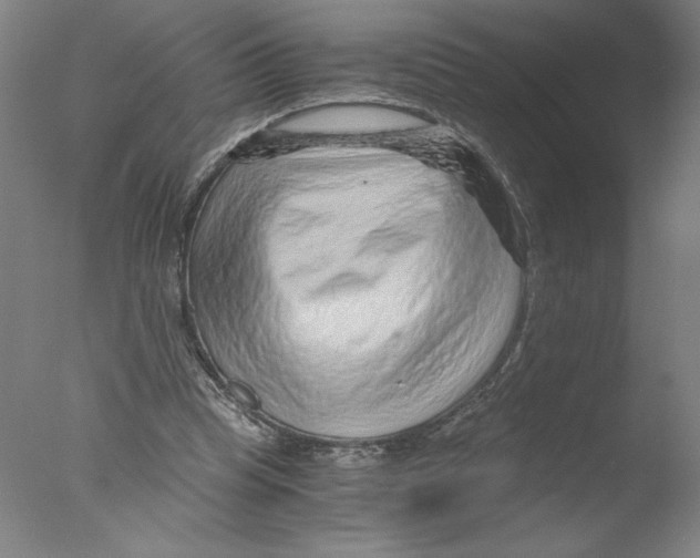 X0000076070345200610202020