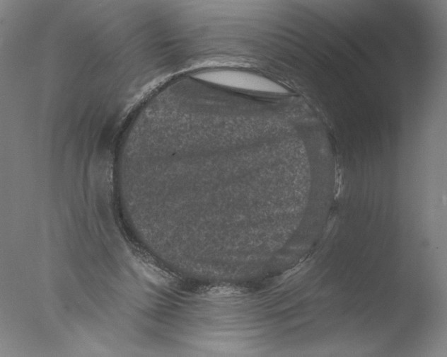 X0000076070348200610202020