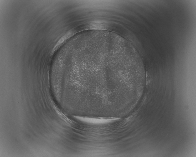 X0000076070349200610202020