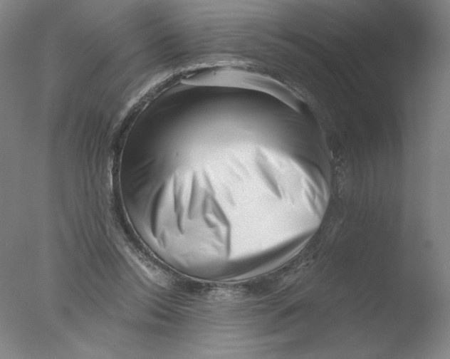 X0000076070350200610202020