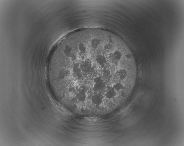 X0000076070351200610202020