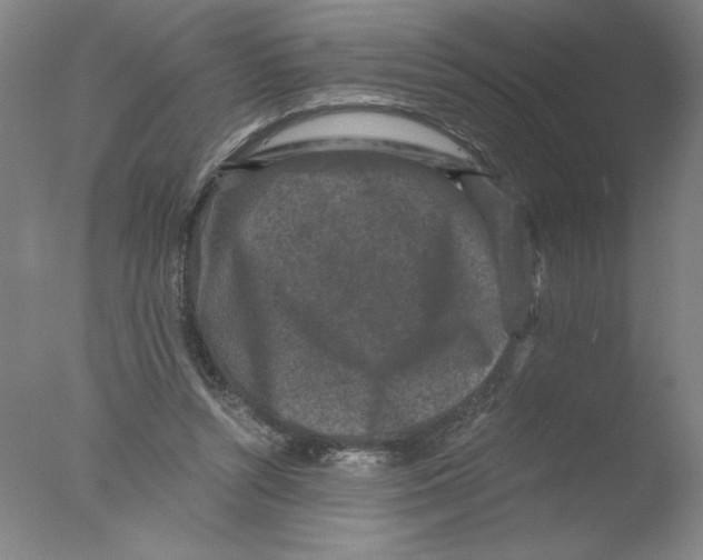 X0000076070352200610202020