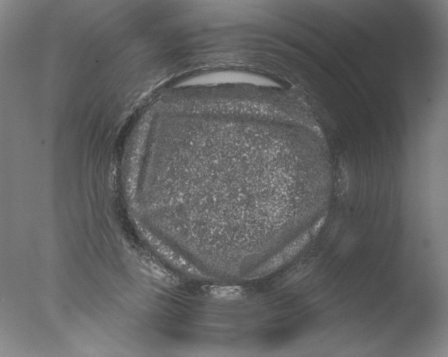 X0000076070355200610202020