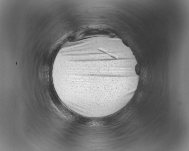 X0000076070356200610202020