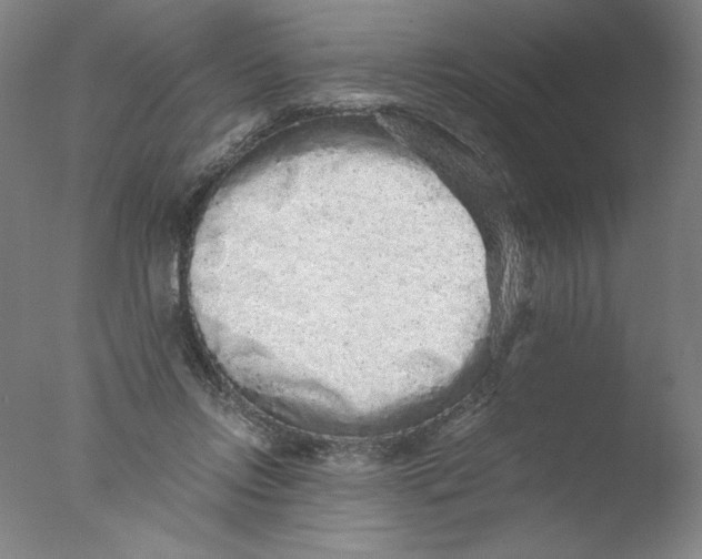 X0000076070358200610202020