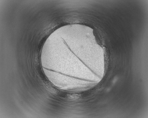 X0000076070359200610202020