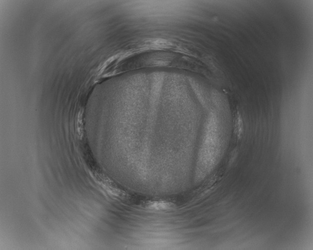 X0000076070360200610202020