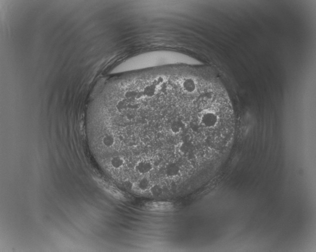 X0000076070361200610202020