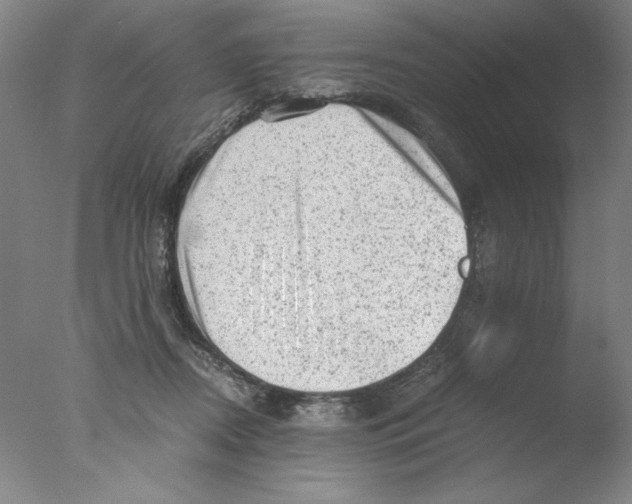 X0000076070362200610202020