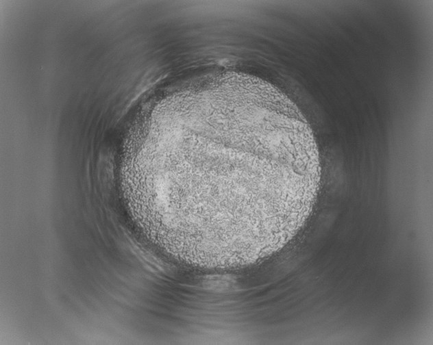 X0000076070363200610202020