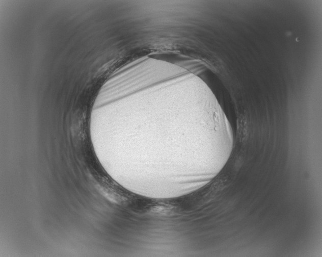 X0000076070364200610202020