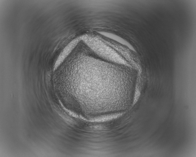 X0000076070365200610202020