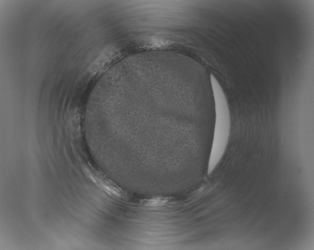 X0000076070366200610202020