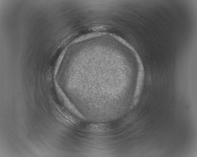 X0000076070367200610202020