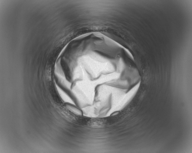 X0000076070368200610202020