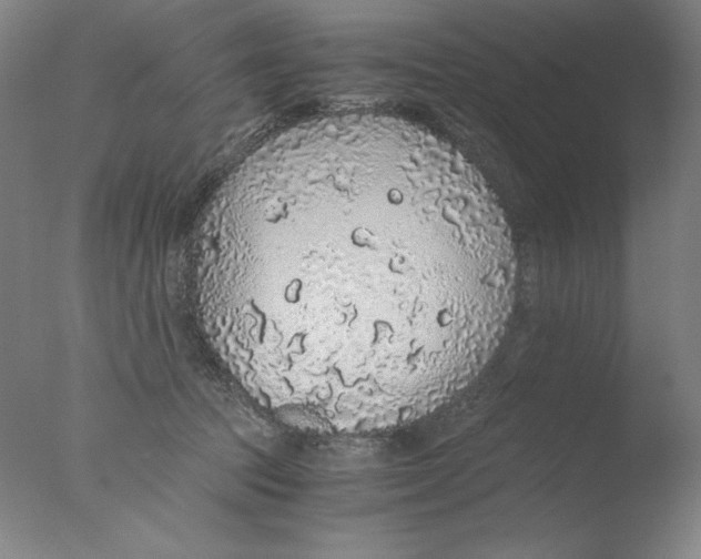 X0000076070369200610202020