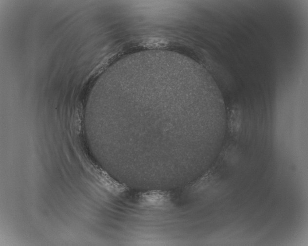 X0000076070370200610202020