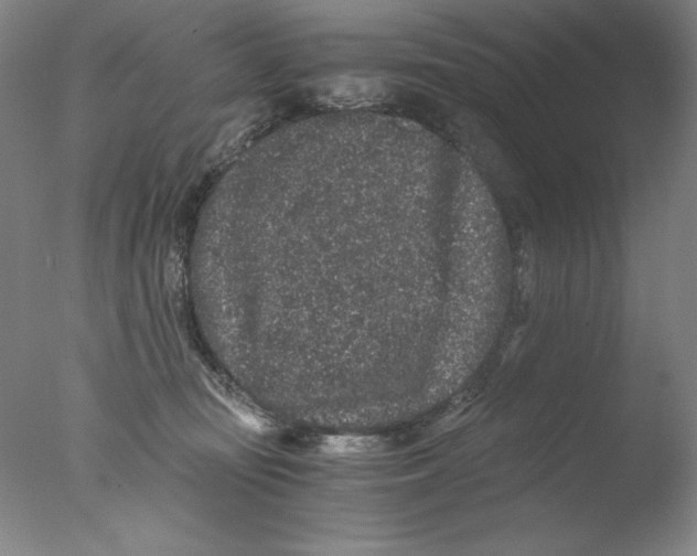 X0000076070371200610202020