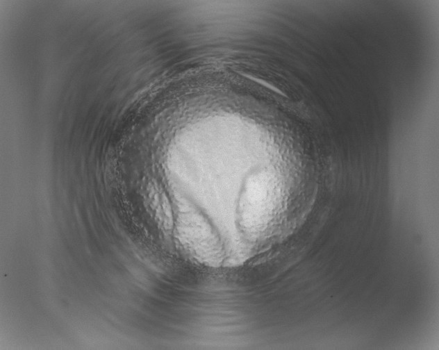 X0000076070372200610202020