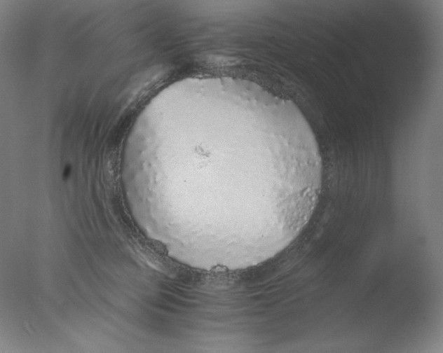 X0000076070373200610202020