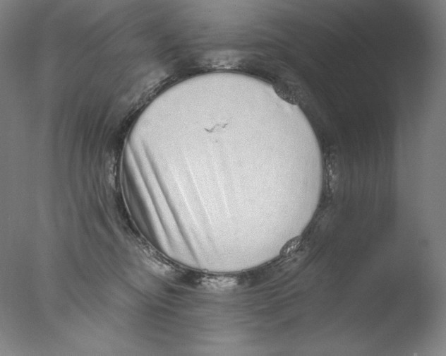 X0000076070374200610202020