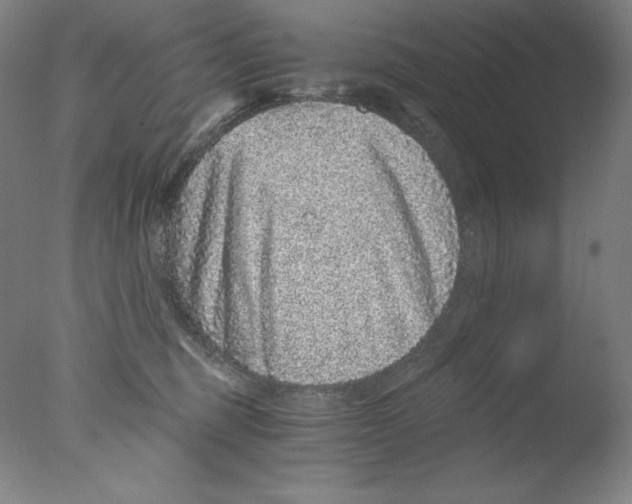 X0000076070375200610202020