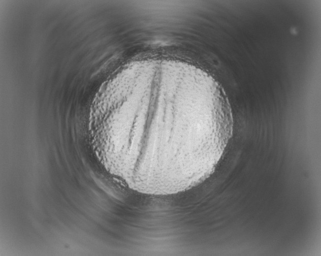 X0000076070376200610202020