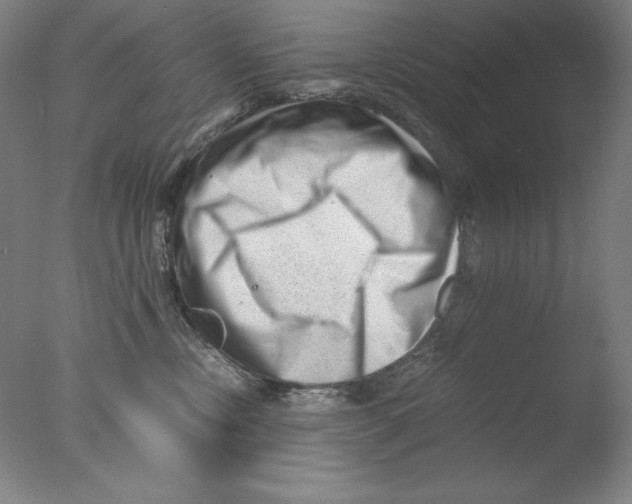 X0000076070378200610202020