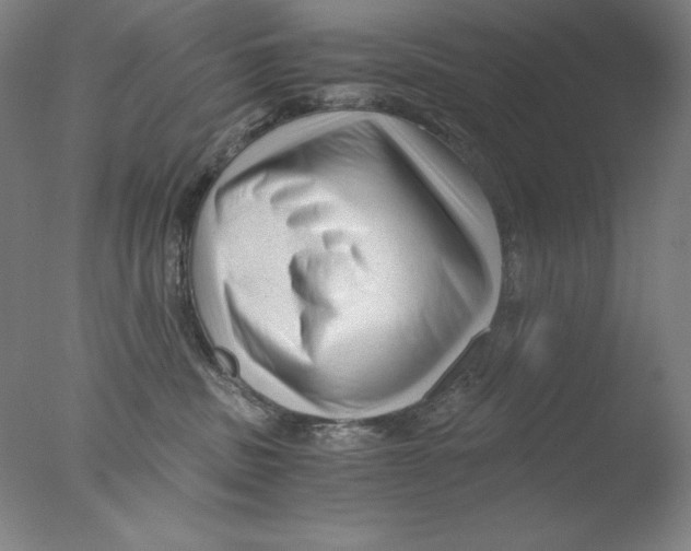 X0000076070379200610202020