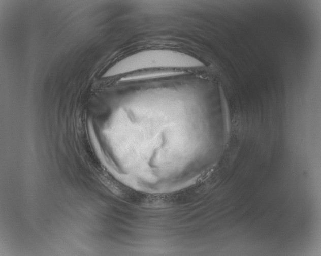 X0000076070381200610202020