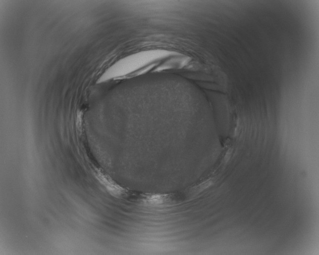 X0000076070382200610202020