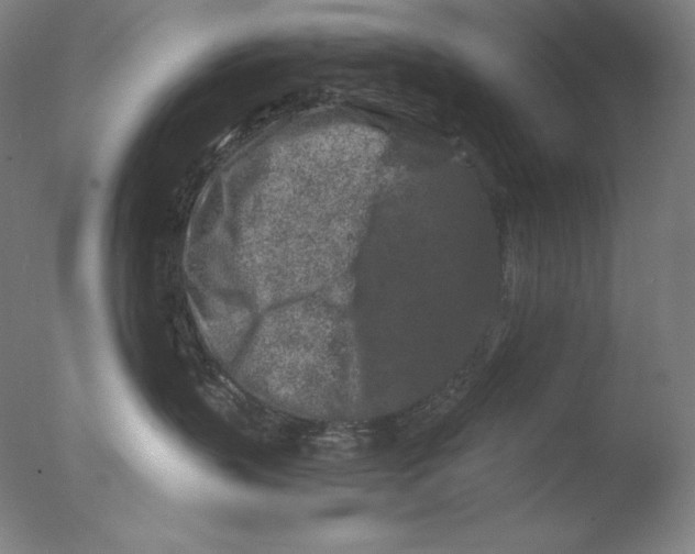 X0000076070383200610202020